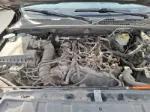 Picture of Volkswagen - Amarok Highline 4Motion, 2.0 TDI Diesel