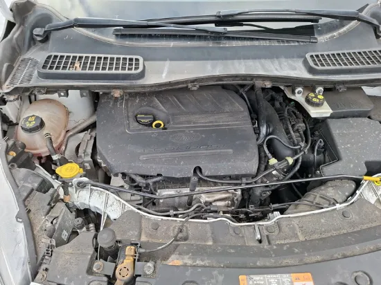 Picture of Ford - Kuga ST-Line, 1.5 Ecoboost Benzin