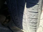 Picture of Renault - Master S&S, 2.3 dCi Diesel