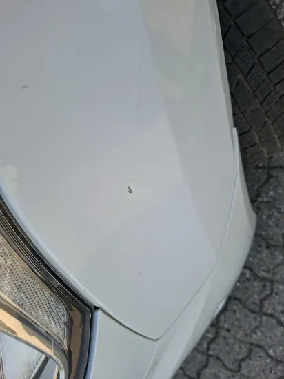 Picture of Ford - Transit Connect Trend, 1.5 TDCi Diesel