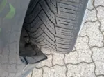 Изображение Ford - C-MAX, 1.0 Eco Boost Benzin