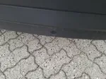 Picture of Volkswagen - ID.4, 0 Electric