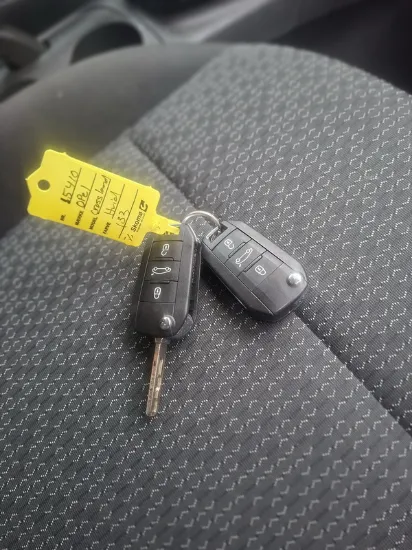 Picture of Opel - Crossland X, 1.2 Benzin, Van