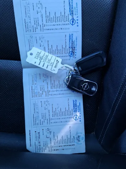 Изображение Opel - Insignia Sports Tourer 4x4 Aut., 2.0 Cdti Diesel