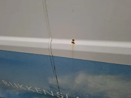 Изображение Opel - Vivaro Edition Plus, 1.6 CDTi 