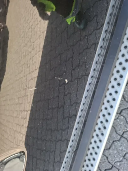 Изображение Dacia - Duster, 1.5 dCi Diesel