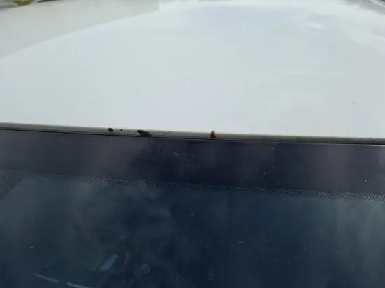 Picture of Skoda - Scala Ambition, 1.0 TSI Benzin