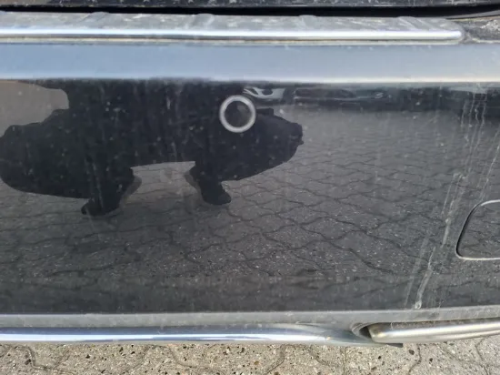 Изображение Mercedes - B200 Business Aut., 2.2 Diesel