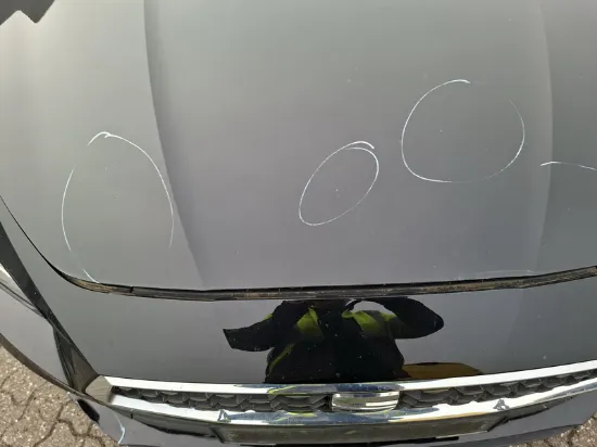 Изображение Seat - Leon Xcellence Business edition DSG7, 1.5 eTSI Benzin