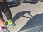 Picture of Citroën - Jumpy Aut., 2.0 BlueHDi Diesel
