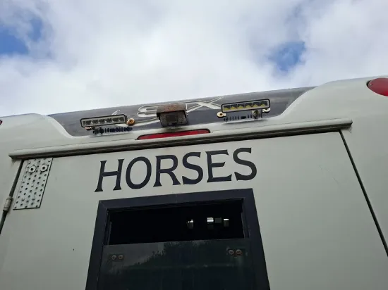 Изображение Renault - Master Horsebox, 2.3 Diesel