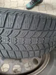 Изображение Volkswagen - Golf Comfortline Aut. DSG, 1.5 Benzin