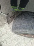 Picture of Hyundai - H1, 2.5 CRDi Diesel