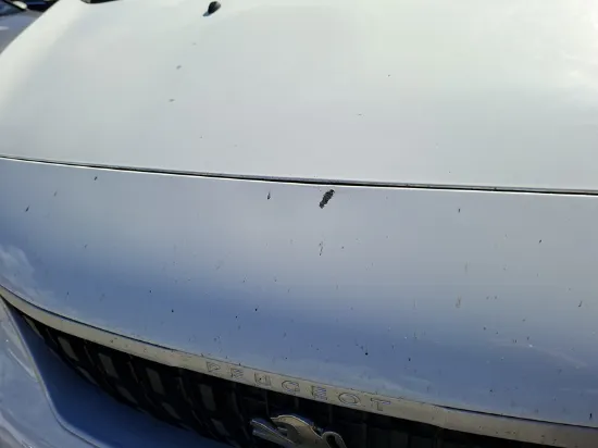 Изображение Peugeot - Expert, 2.0 BlueHDi Diese