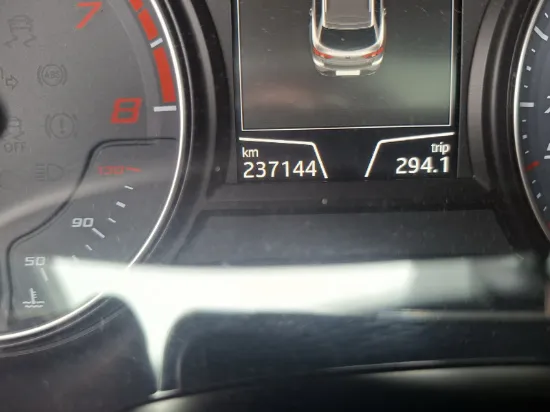 Picture of Seat - Leon Cupra DSG6, 2.0 TSI Benzin
