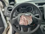 Picture of Renault Trafic 2.0 dCi 120 T29 L2H1