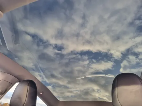Picture of Tesla Model Y Long Range Dual Motor