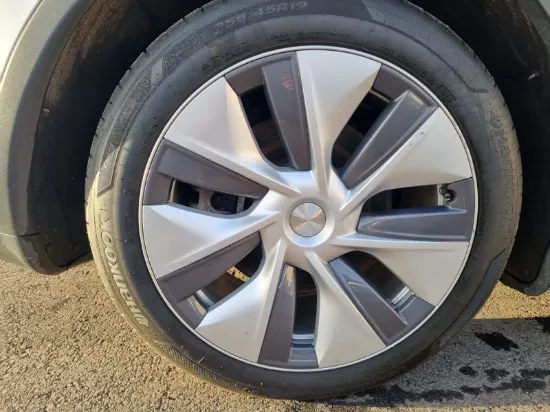 Picture of Tesla Model Y Long Range Dual Motor