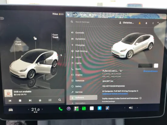 Picture of Tesla Model Y Long Range Dual Motor
